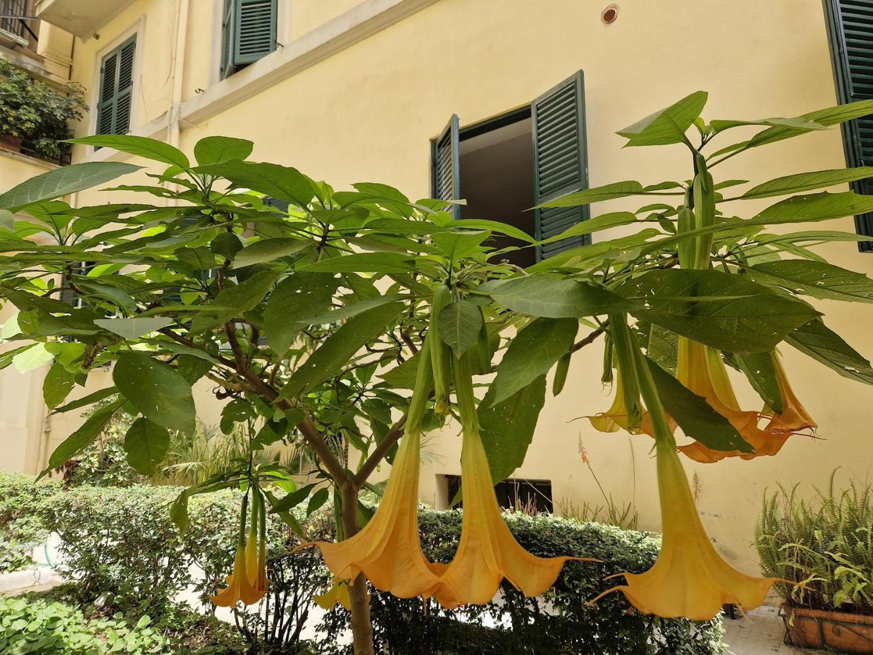 Borsieri Apartment Rom